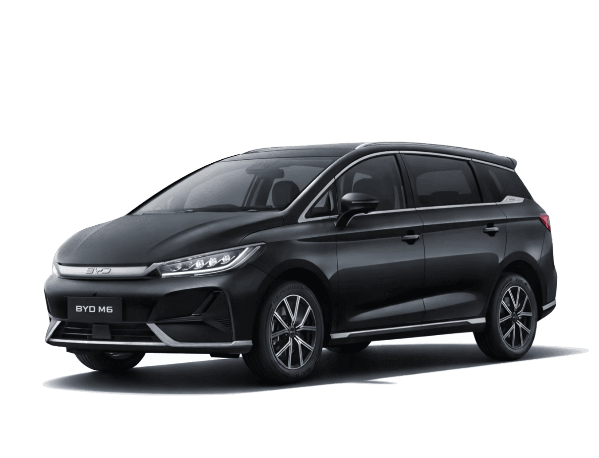 BYD M6